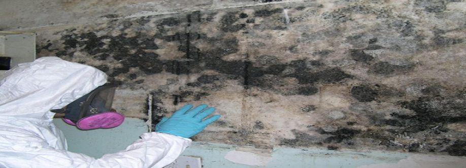 Rock Environmental Inc Cover Image