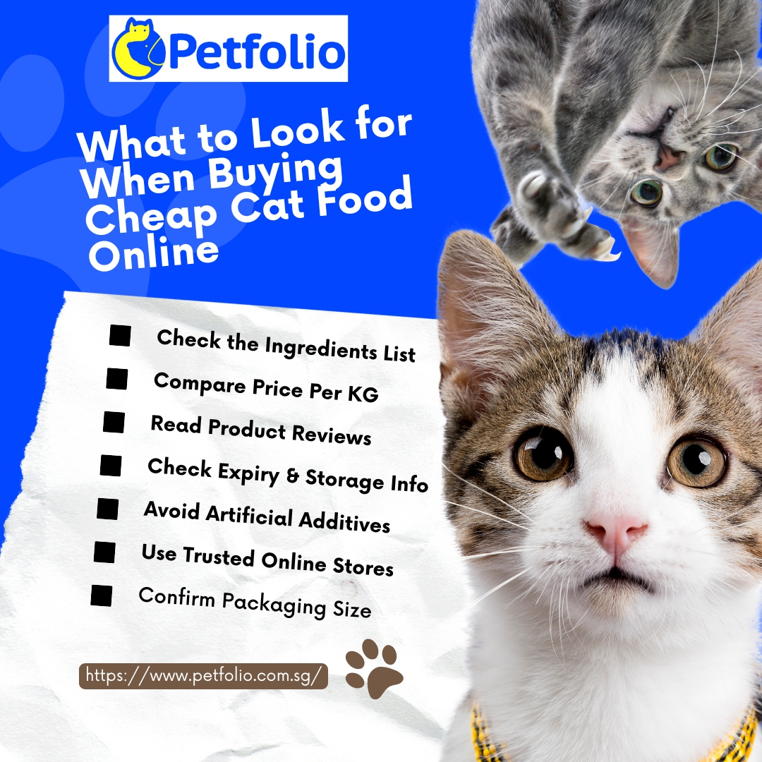 What to Look for When Buying Cheap Cat Food Online..