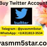 Buy Twitter Accounts Profile Picture